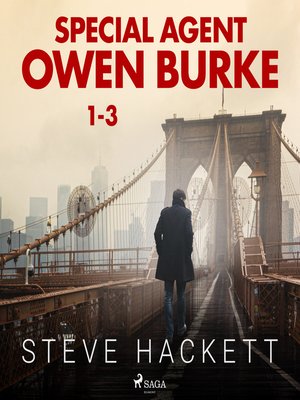 cover image of Special Agent Owen Burke 1-3